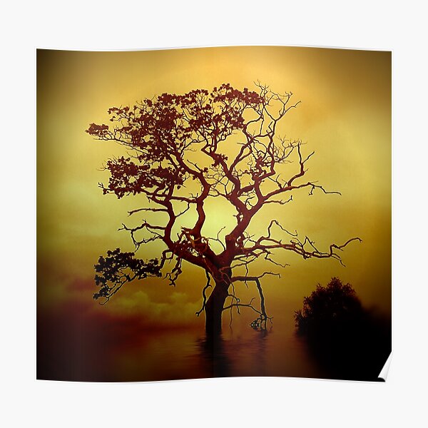 Evening Tree Poster