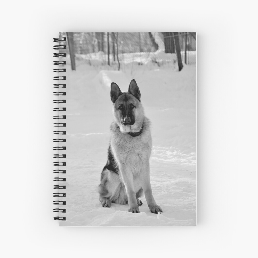 Staying watch - German shepherd Spiral Notebook