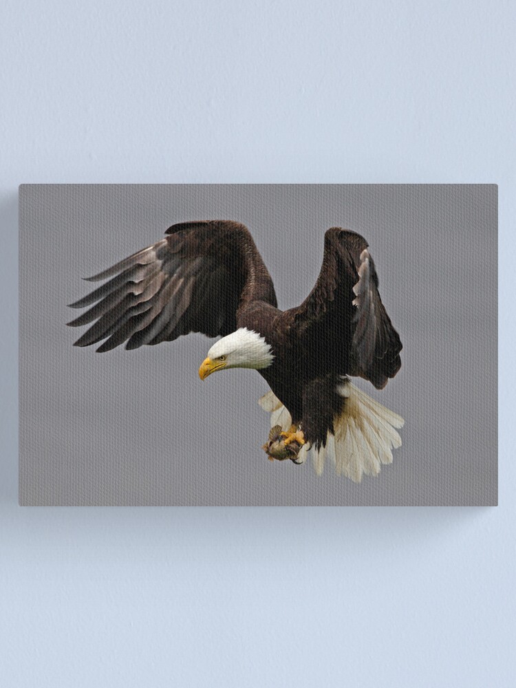Alternate view of Braking Hard Canvas Print