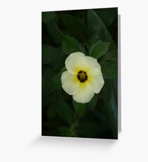 "WHITENESS" Greeting Card
