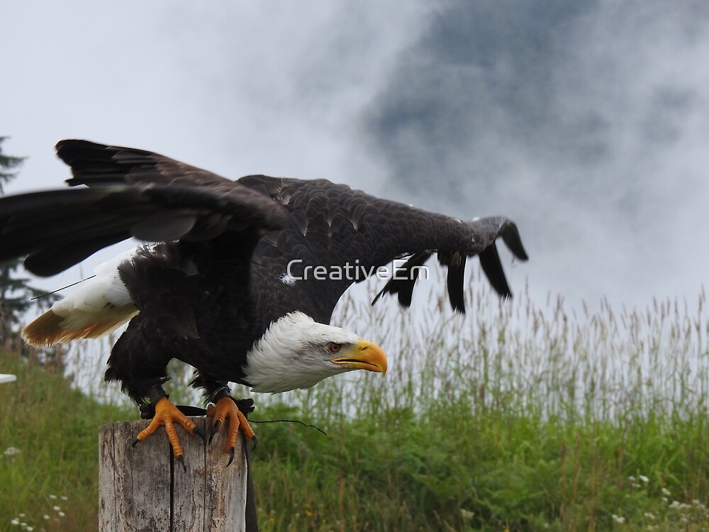 "The Eagle Takes Flight" by CreativeEm Redbubble