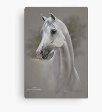 'Snow' - Keira Park Cascade Canvas Print