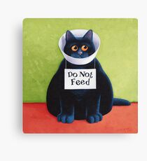 Do Not Feed Canvas Print