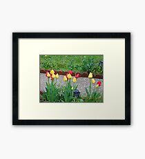 Tulups Framed Print