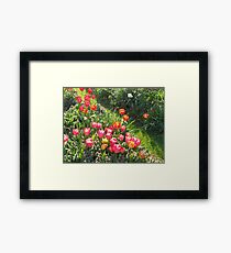 Pink Tulups Framed Print