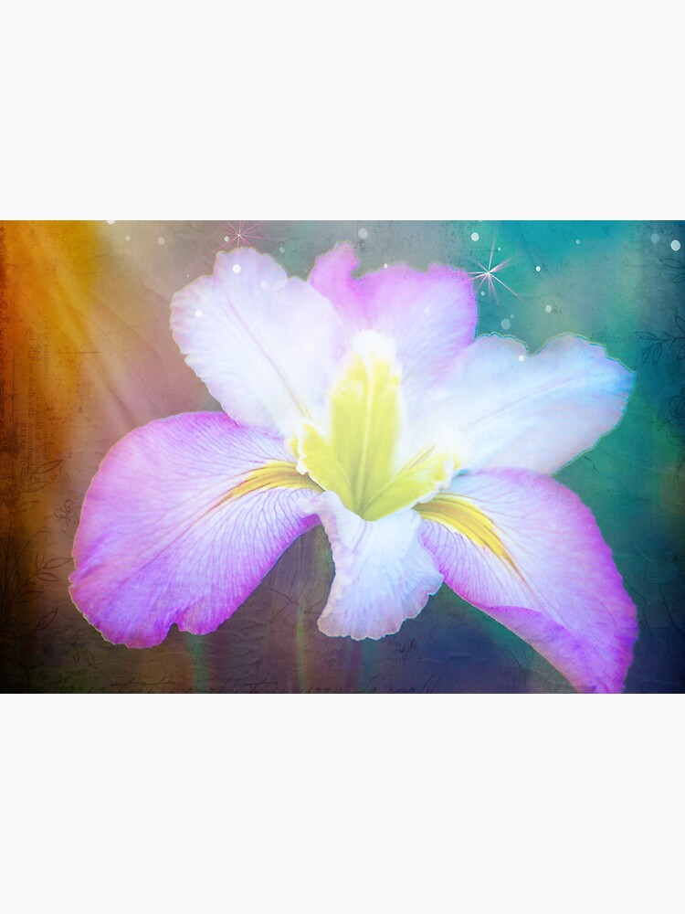 Iris by KeithHawley