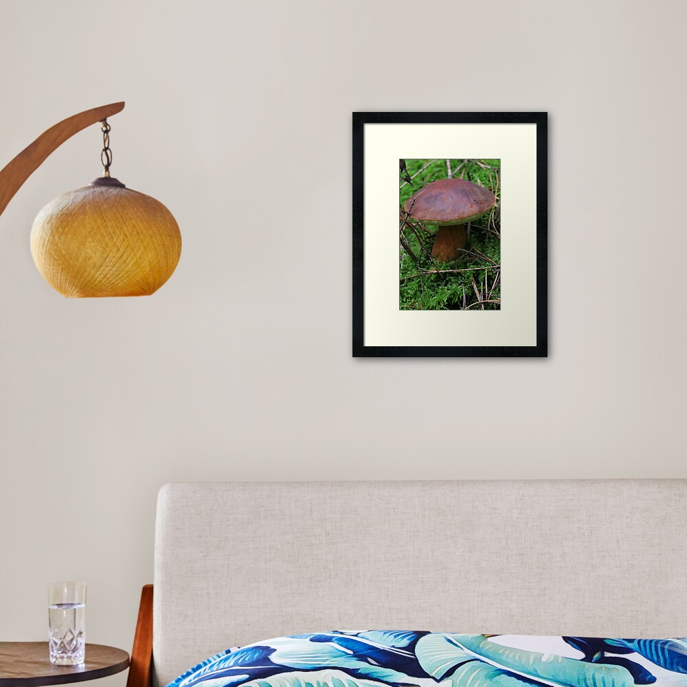 Story about autumn in forest Framed Art Print