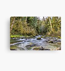 O'toole creek revistited Leinwanddruck