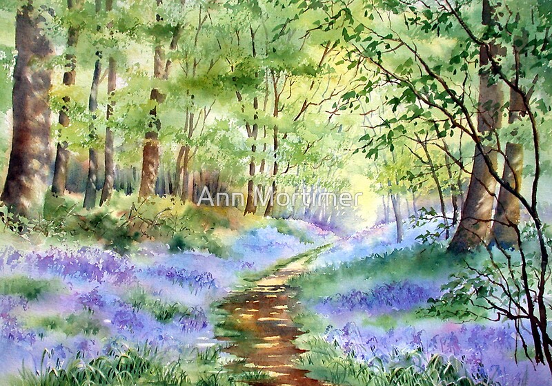 Bluebells In Bunny Wood By Ann Mortimer Redbubble