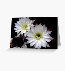 Life is beautiful Greeting Card