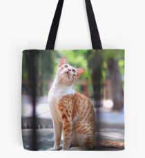 My photogenic cat Tote Bag