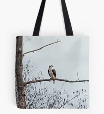 Osprey (Pandion haliaetus) Tote Bag