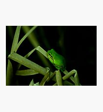 Camouflage Photographic Print