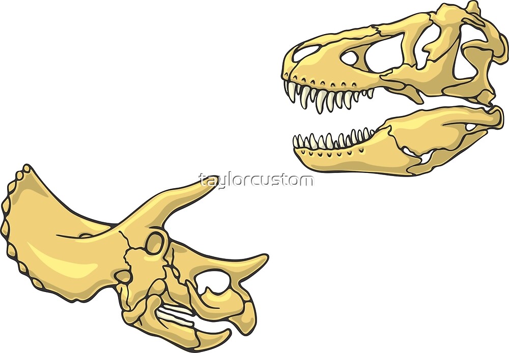 complete t rex skeleton triceratops