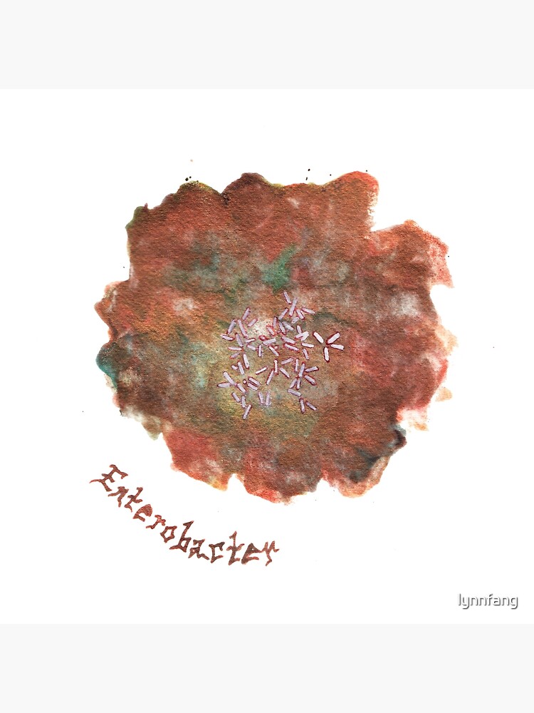 Enterobacter Art Prints by lynnfang