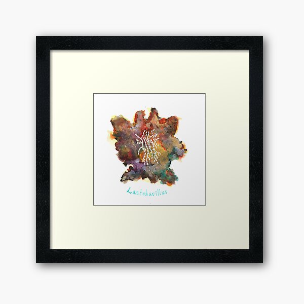 Lactobacillus Art Prints Framed Art Print
