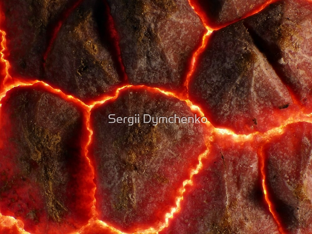 Lychee shell under the microscope by Sergii Dymchenko