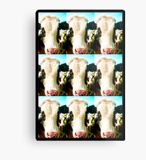 Cows Metal Print