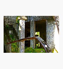 Paronella Park Photographic Print