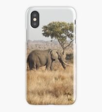 African Elephant iPhone Case/Skin