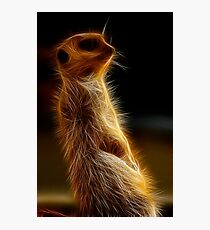 Arthur Photographic Print