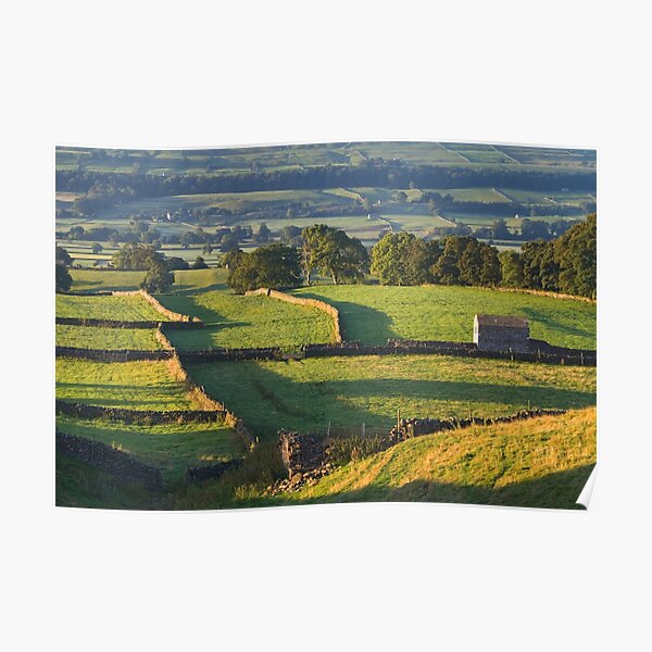 Morning Light near Askrigg - Yorkshire Dales Poster