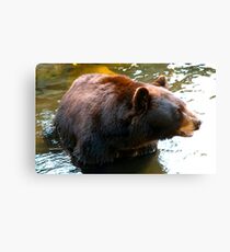 Appalachian Pride Canvas Print