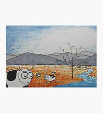 High Plains Cattle Photographic Print