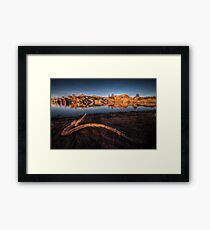 Beyond The Branch Framed Print