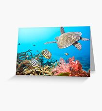 Butterflyfishes and turtle Greeting Card