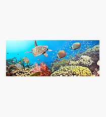 Underwater panorama Photographic Print