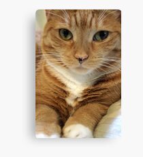 Your One and Only Canvas Print