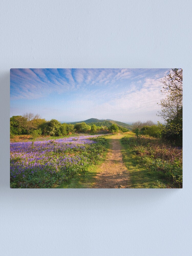 Alternate view of Malvern Hills : Midsummer Bluebells 2 Canvas Print