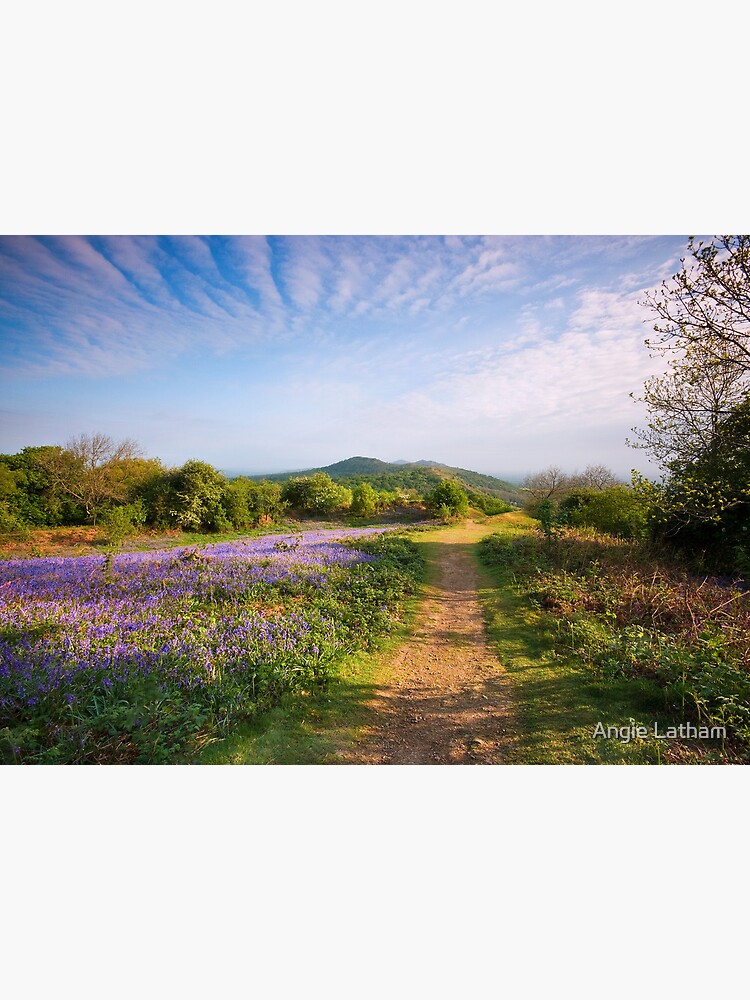 Malvern Hills : Midsummer Bluebells 2 by AngelaBarnett