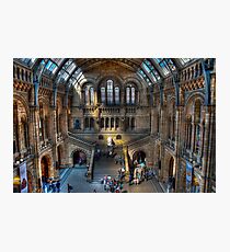 The Natural History Museum: London. Photographic Print