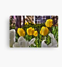 bloom Canvas Print
