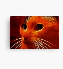 The Queen Of Sheeba Canvas Print