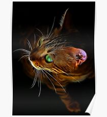 Fractalius Tata Poster