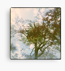 The City of Trees Canvas Print