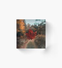 Suspended Leaf Acrylic Block