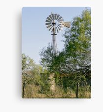 Hawk Perched on Windmill Canvas Print
