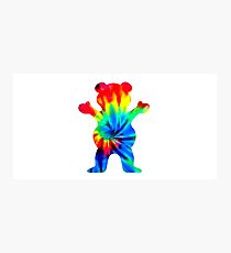 GRIZZLY RAIN BOW Photographic Print