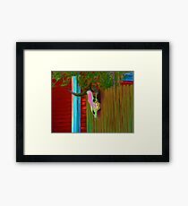 Bulls Head Framed Print