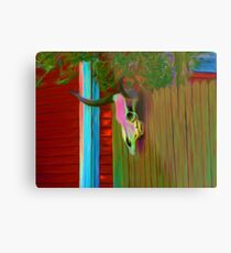Bulls Head Metal Print