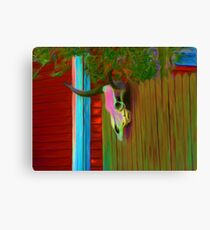 Bulls Head Canvas Print