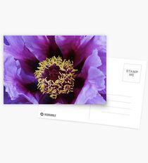 Peony Postcards