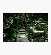 Entrance to Rivendell Photographic Print