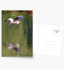 Heron Postkarten