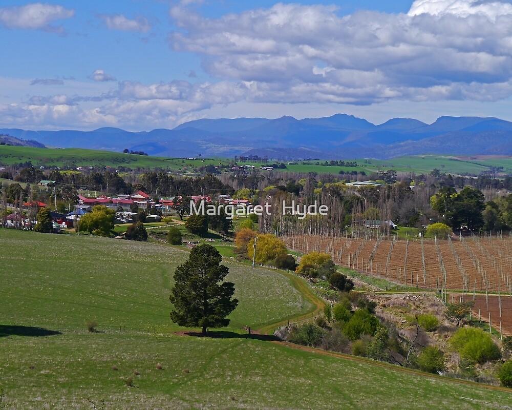 "Homes and Hops farm, Glenora, Tasmania, Australia" by Margaret Hyde