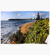 Long reef headland from above Collaroy pool Poster